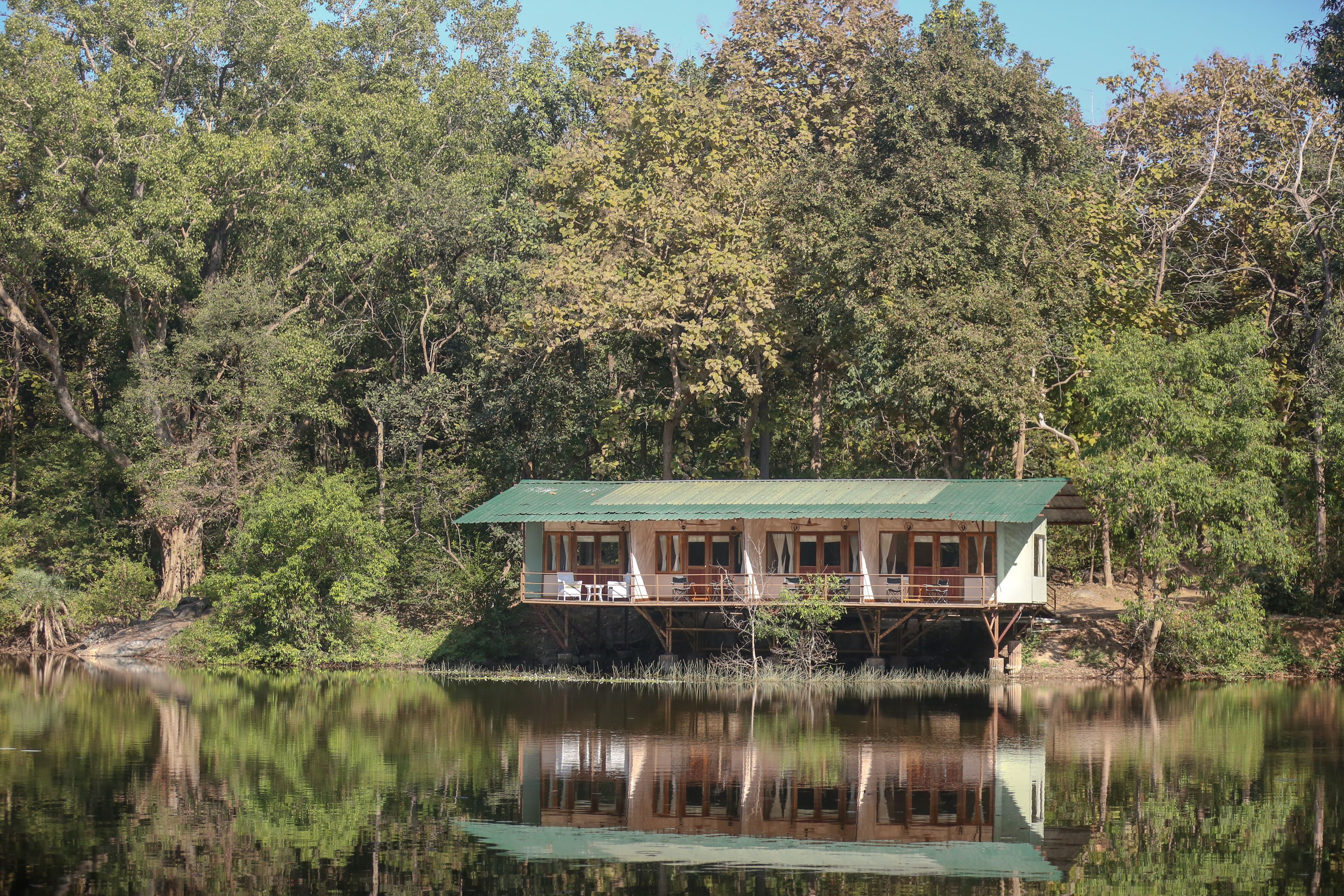 JUNGLE CAMP  RUKHAD PENCH